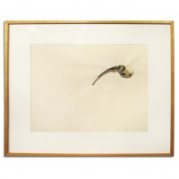 Frame